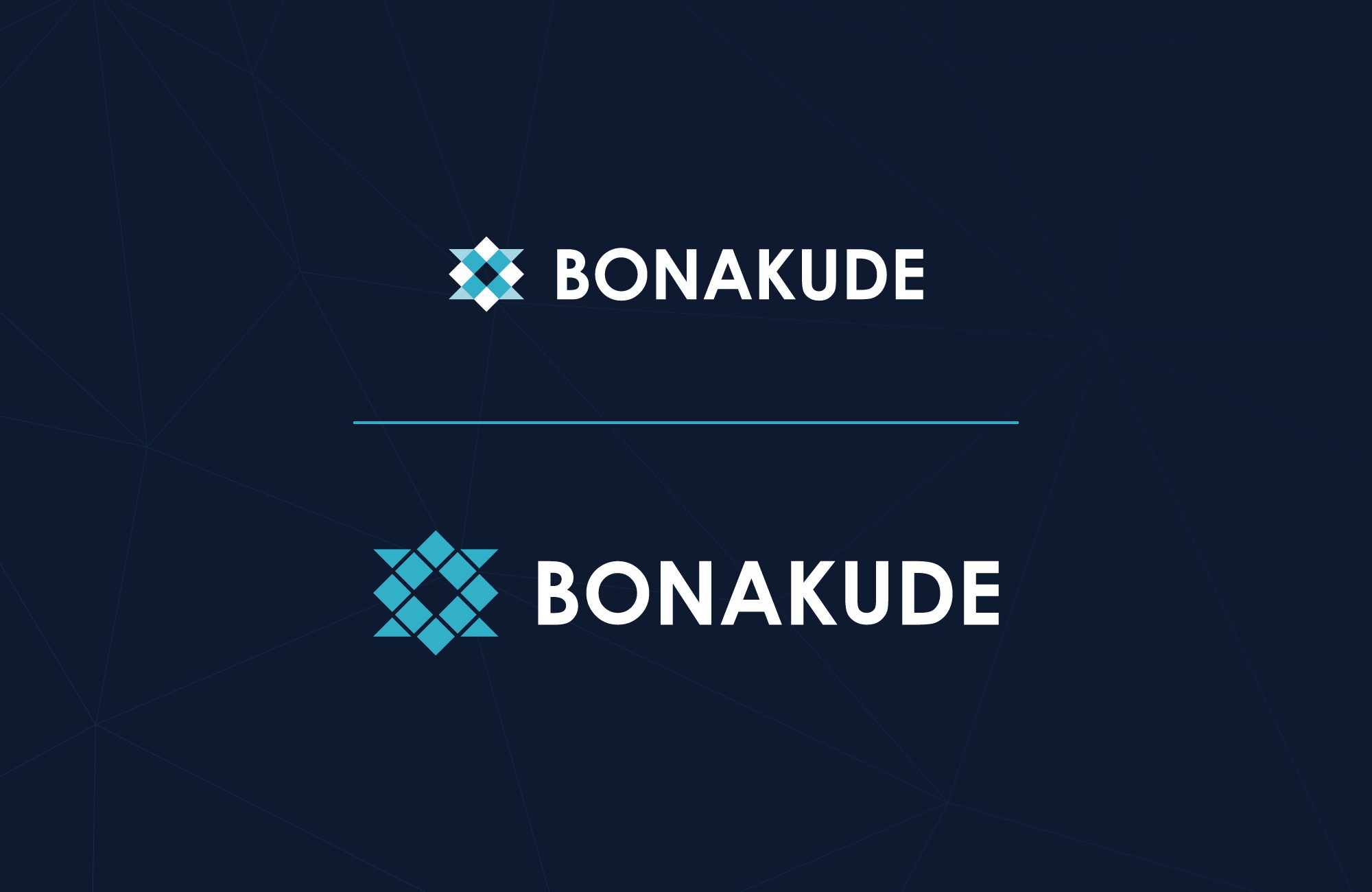 Bonakude Consulting iKind Media Project (1)
